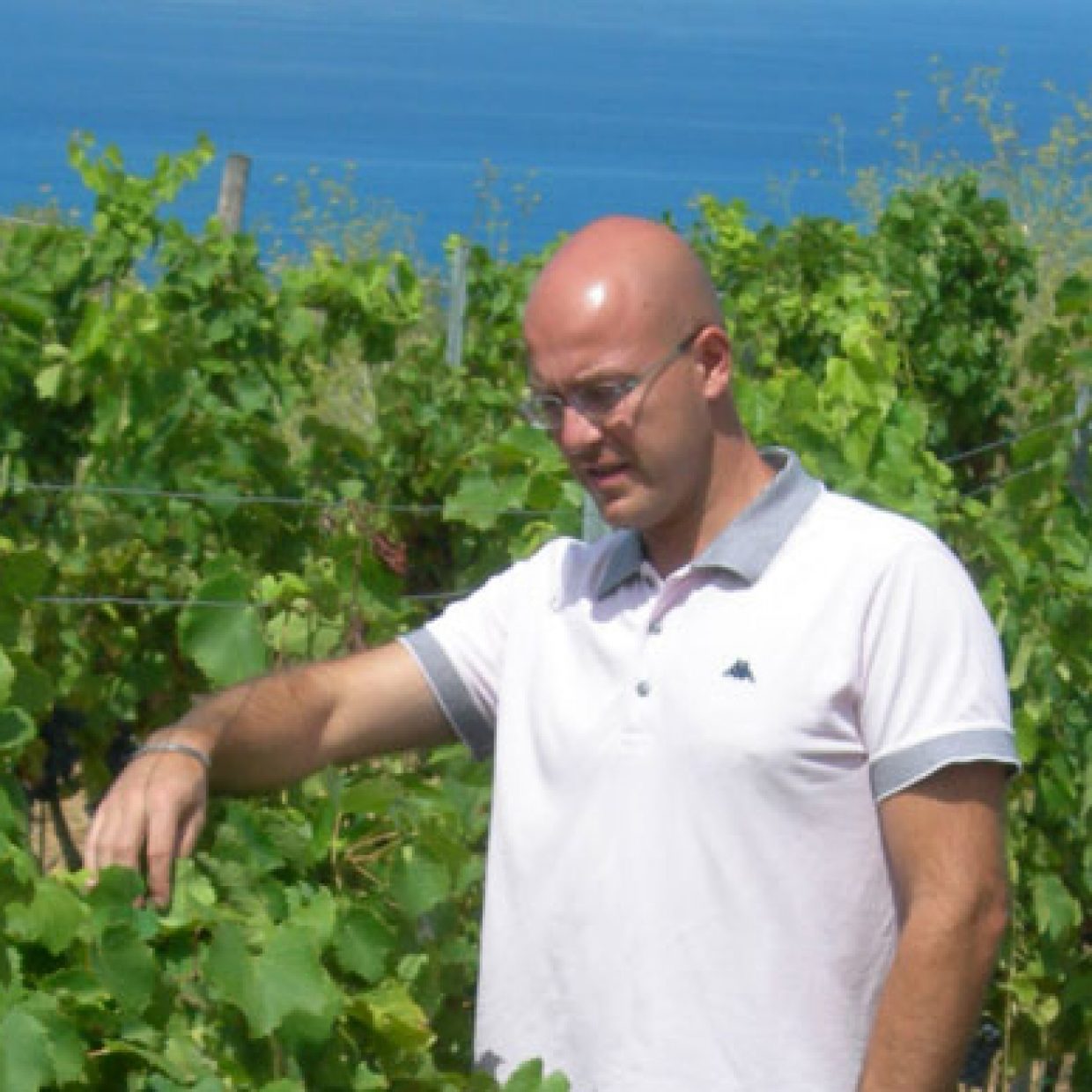 Dott. Emiliano Falsini, the Winemaker
