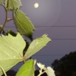 07_banner