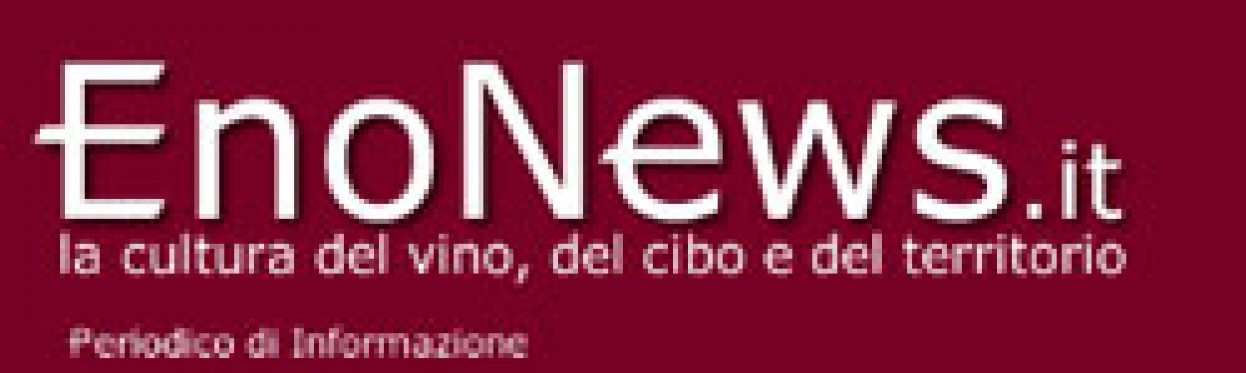 Enonews.it il giornale on-line dell’ A.I.S.: quattro chiacchere con Enza La Fauci